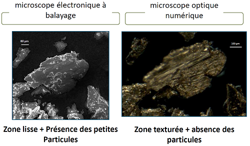 Fig1
