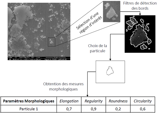 Fig2