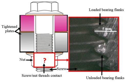 Fig1