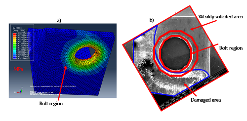 Fig7